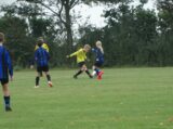 S.K.N.W.K. JO11-1JM - Halsteren JO11-4 (competitie) najaar seizoen 2021-2022 (1e fase) (5/59)